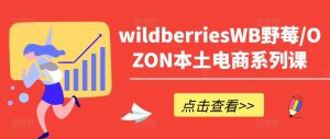 wildberriesWB野莓/OZON本土电商系列课，掌握WB产品优化，出单技巧和订单处理等-闪越社