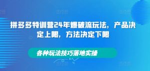 拼多多特训营24年爆破流玩法，产品决定上限，方法决定下限，各种玩法技巧落地实操-闪越社