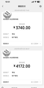 手机搬砖项目,可以矩阵化操作,新手一个月轻松5000多-闪越社