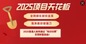 2025项目天花板普通人如何通过知识付费,实现财F自由【揭秘】-闪越社
