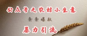deepseek写农村小项目,条条爆款,暴力引流-闪越社