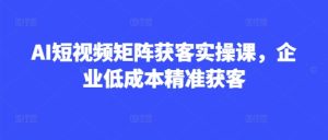 AI短视频矩阵获客实操课,企业低成本精准获客-闪越社