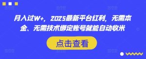 月入过W+，2025最新平台红利，无需本金、无需技术绑定账号就能自动收米-闪越社