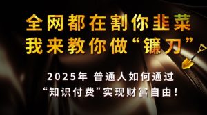 全网都在割你韭菜,我来教你做镰刀,2025普通人如何通过知识付费,实现财F自由【揭秘】-闪越社