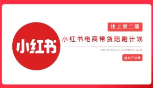 2025小红书虚拟电商实战课,从0到1打造无货源店铺,AI+爆款笔记轻松变现-闪越社