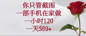 你只管截图,一部手机在家操作,一小时120.一天5张【揭秘】-闪越社