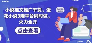 小说推文推广干货,蛋花小说3端平台同时做,火力全开-闪越社