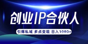 云帆·创业ip合伙人打造3.0,从0到1教你做网创,实现月入过W-闪越社