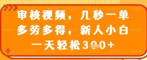 审核视频,几秒一单,多劳多得,新人小白一天轻松3张【揭秘】-闪越社