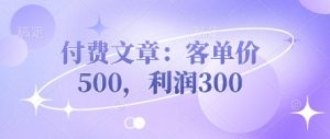 付费文章:客单价500,利润300-闪越社