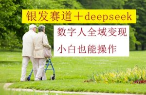 银发赛道+deepseek数字人全域变现,小白也能操作-闪越社