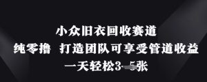 小众旧衣回收赛道,纯零撸 打造团队可享受管道收益,一天轻松3张-闪越社