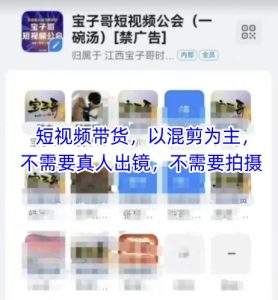 宝子哥头部团队短视频带货,以混剪为主,不需要真人出镜,不需要拍摄-闪越社