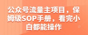 公众号流量主项目,保姆级SOP手册,看完小白都能操作-闪越社