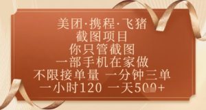 飞猪美团截图项目,你只管截图,一部手机在家做,正规平台无套路,一天5张+【揭秘】-闪越社