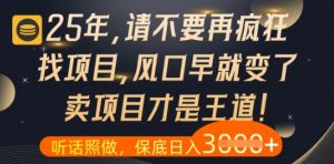 什么?25年你还在疯狂找项目做,醒醒吧,看完这些你全都懂了【揭秘】-闪越社