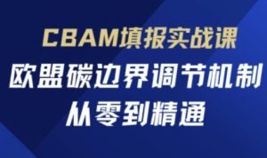CBAM填报实战课，欧盟碳边界调节机制，从零到精通-闪越社