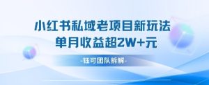 小红书私域项目新玩法，单月变现过W+-闪越社