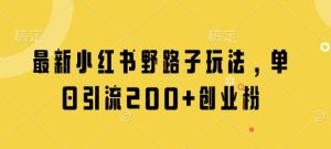 最新小红书野路子玩法，单日引流200+创业粉-闪越社