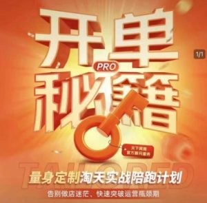 淘宝开单秘籍PRO,量身定制淘天实战陪跑计划,告别做店迷茫、快速突破运营瓶颈期(更新)-闪越社