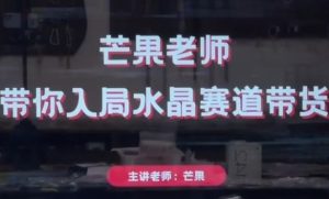 芒果老师·带你入局水晶赛道带货,助你开启水晶直播带货事业-闪越社