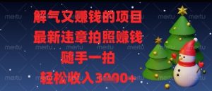 解气又挣钱的项目，最新违章拍照挣钱，随手一拍，轻松收入多张【揭秘】-闪越社
