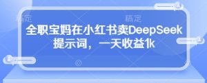 全职宝妈在小红书卖DeepSeek提示词，一天收益1k-闪越社