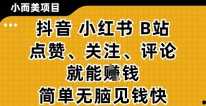 小而美的项目,抖音小红书B站视频点赞、关注、评论就能挣钱,简单无脑立见收益,妥妥的零撸项目【揭秘】-闪越社