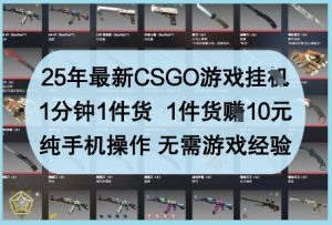 25年最新CSGO游戏挂G,1分钟1件货,1件货挣10元,纯手机操作,无需游戏经验【揭秘】-闪越社