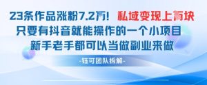 抖音私域项目23条作品涨粉7.2W,私域变现1W-闪越社