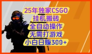 25年独家CSGO挂G搬砖,全自动操作,无需打游戏,小白日入3张+【揭秘】-闪越社