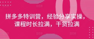 拼多多特训营,经验分享实操,课程时长拉满,干货拉满(更新25年4月)-闪越社