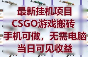 最新挂G项目，CSGO游戏搬砖，手机可做，无需电脑，当日见收益【揭秘】-闪越社